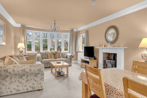 Photo 31- click for photo gallery